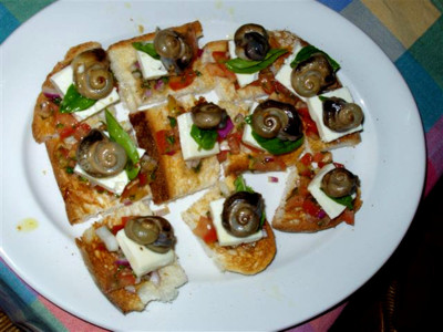 snail brushetta